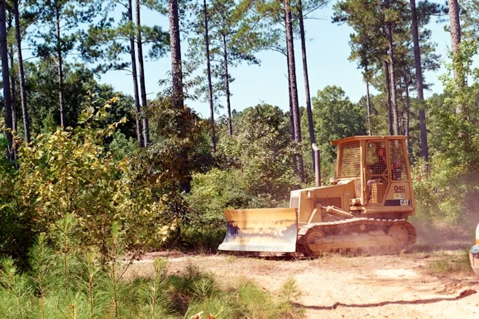 Work photo